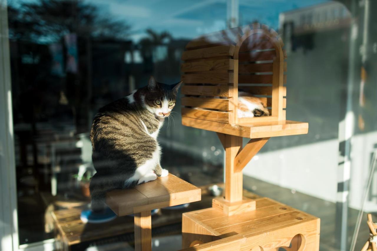 Hello Make Yourself At Home Kenting Bagian luar foto