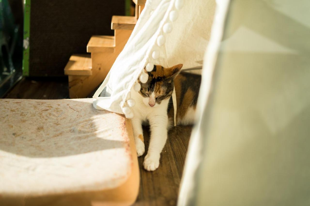 Hello Make Yourself At Home Kenting Bagian luar foto
